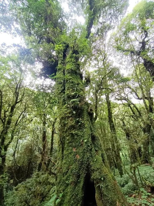 4364f581cabf6e78ba5b87c32adf5086-sz_870464