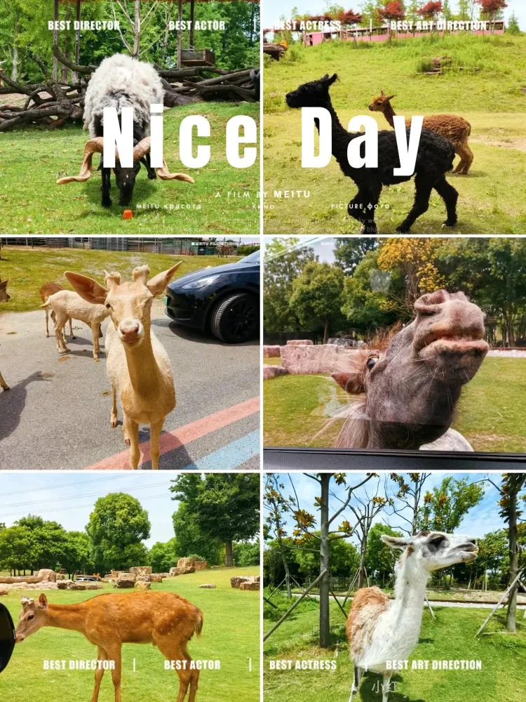 436d0d448cbe92091b05b225ba2d08e2-sz_2608318 436d0d448cbe92091b05b225ba2d08e2-sz_2608318