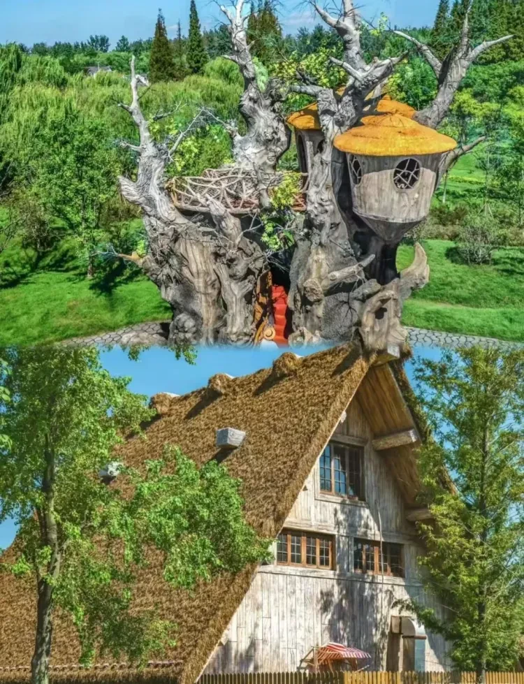 437ff8ec61f73938d894cf033aac2e8f-sz_4242951