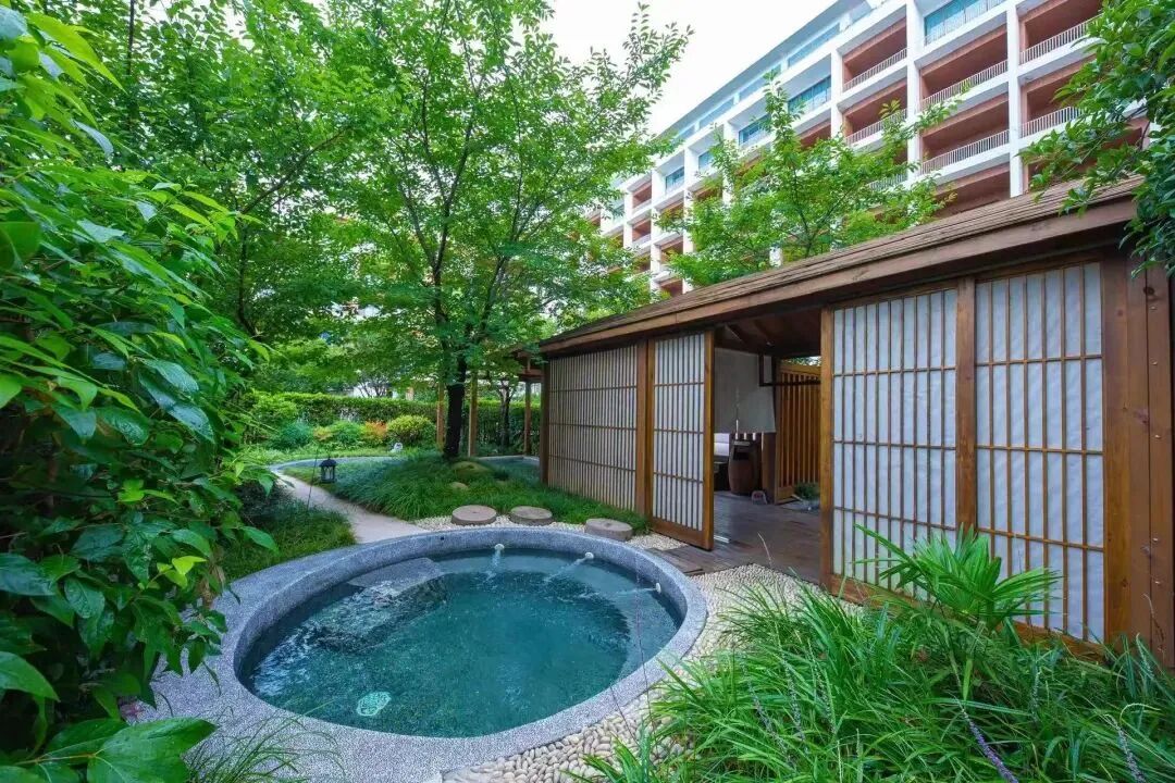 43fb6719f04e6bcbb548a462c9a5ec5d