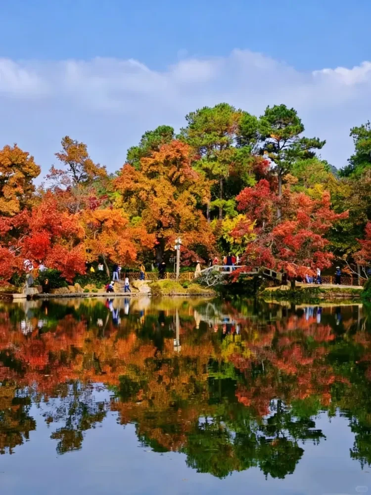 441844f783be5c23321b174f4efa8d0c-sz_2993504 441844f783be5c23321b174f4efa8d0c-sz_2993504