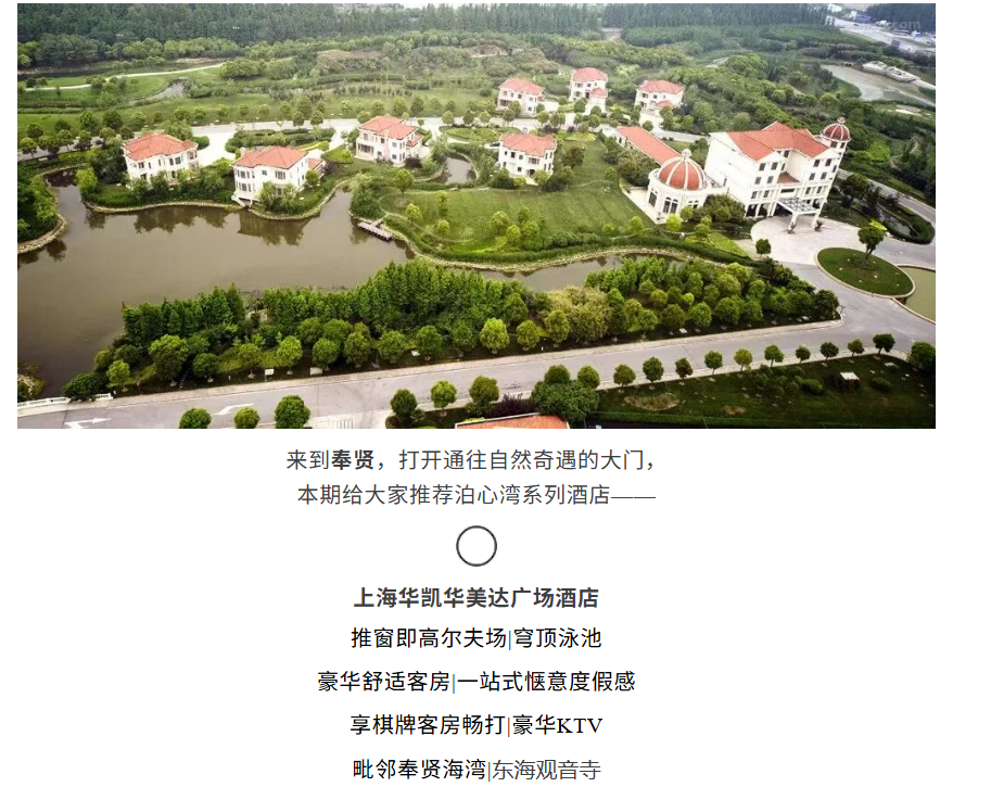 452b63729bb033ac7b4880d24e31befa