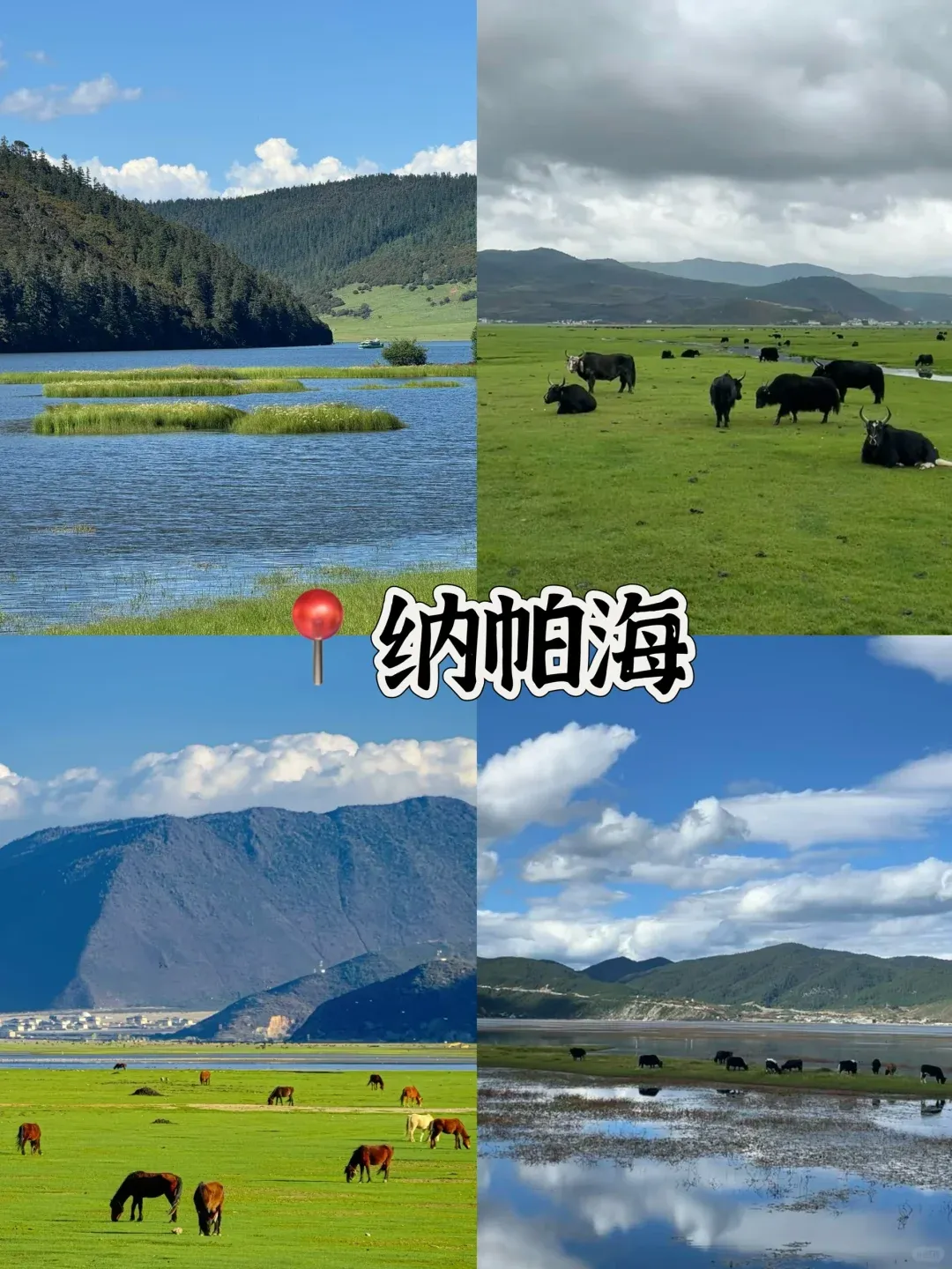 459474edb52fa66e79424a26d18bc7e1-sz_2840765