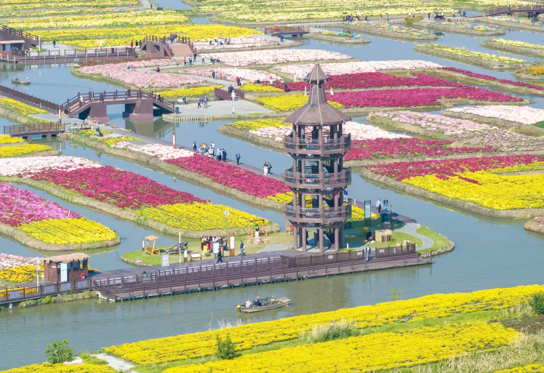 45aa74c48019d6027b16f161e4122466-sz_1751056 45aa74c48019d6027b16f161e4122466-sz_1751056