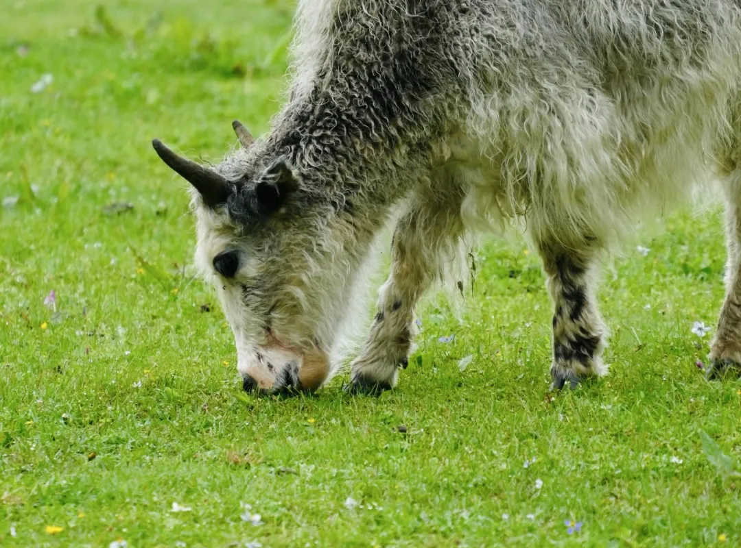 45aed5b56e9a13fdcc528f34b2f1a342-sz_574137 45aed5b56e9a13fdcc528f34b2f1a342-sz_574137