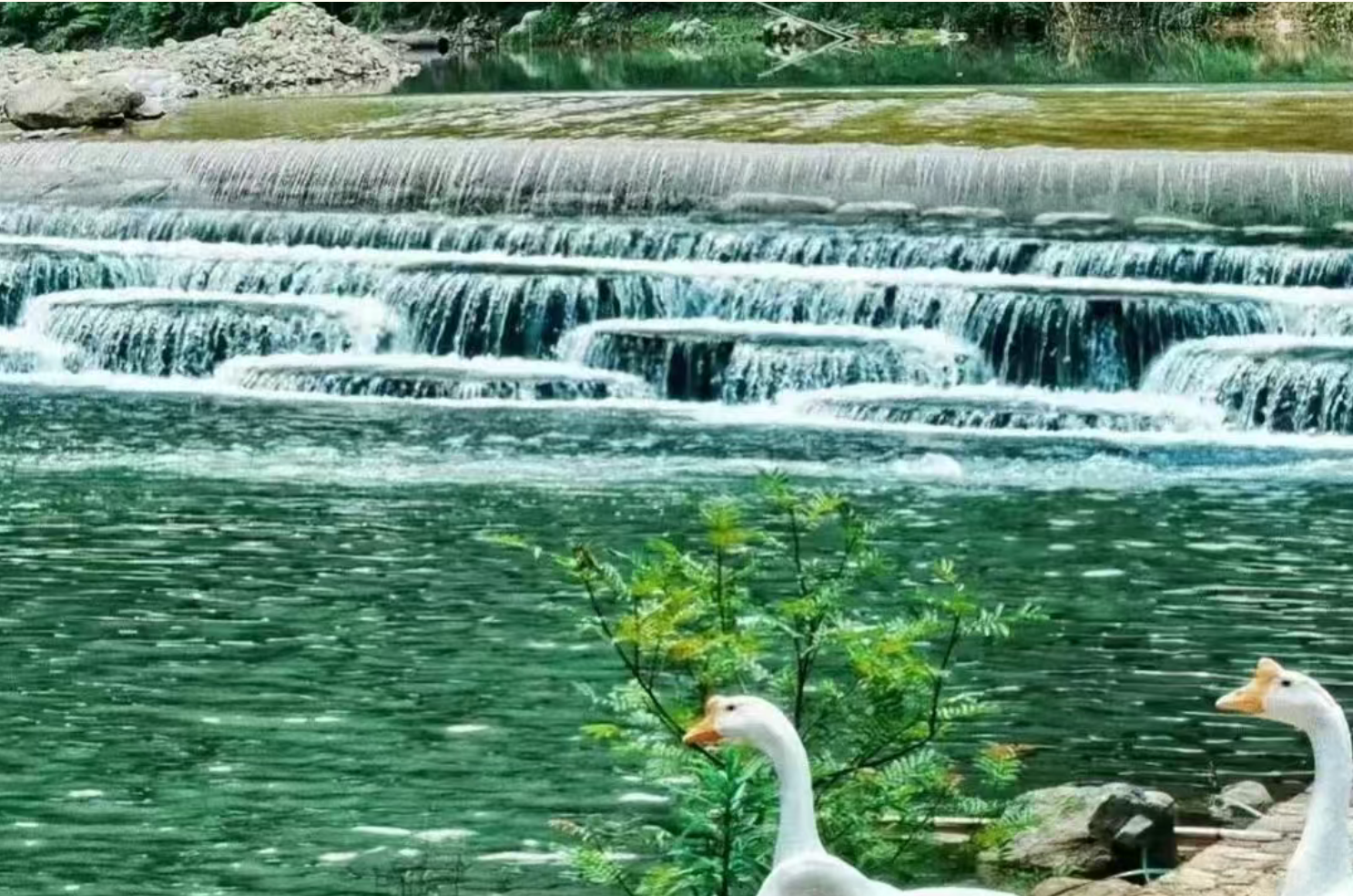 45af3e7656af6fb5ce42956cecfc5541 45af3e7656af6fb5ce42956cecfc5541