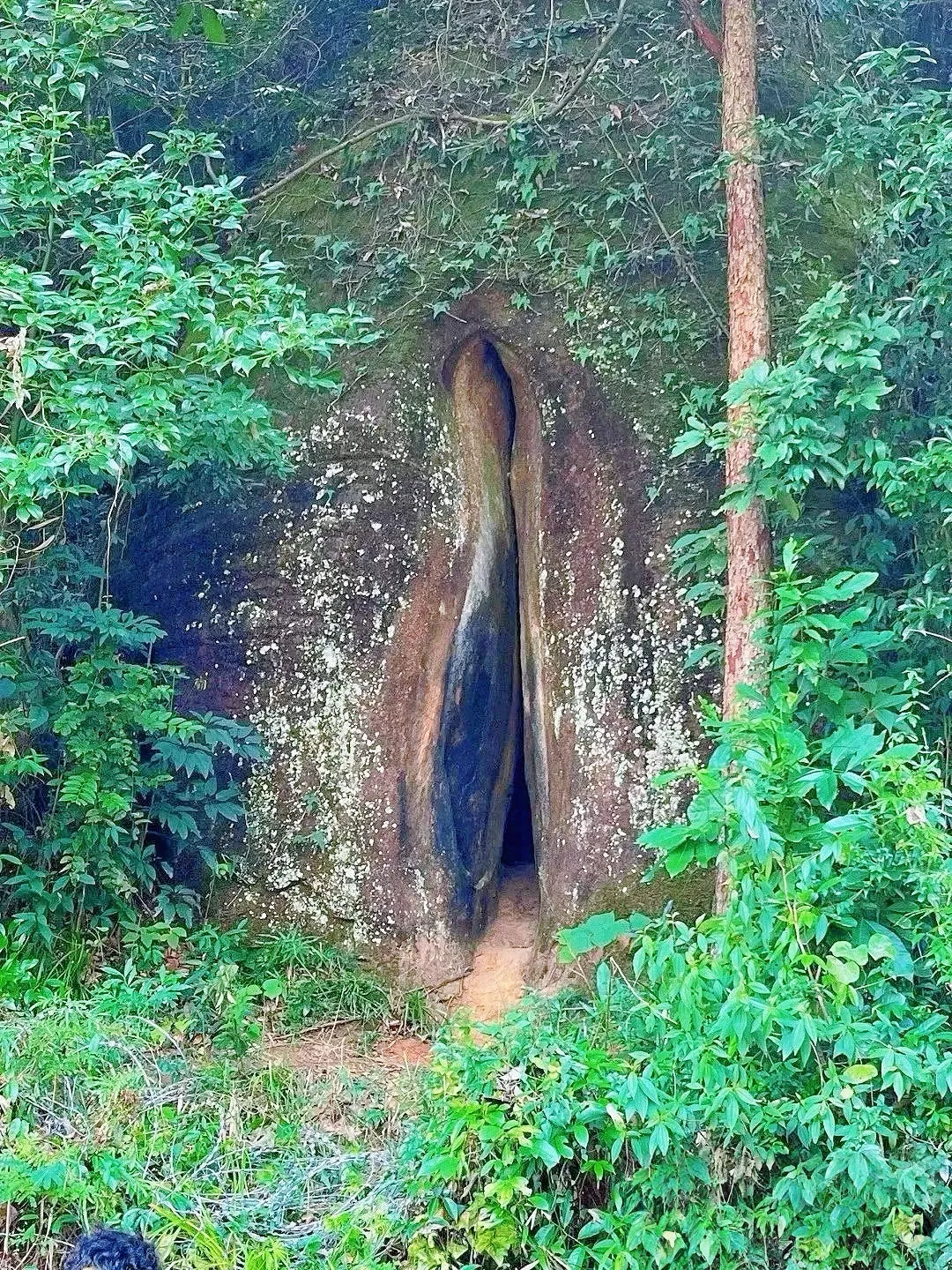 45b9facdd8589281c35e29ff6c53f3d7-sz_2983622-1 45b9facdd8589281c35e29ff6c53f3d7-sz_2983622-1