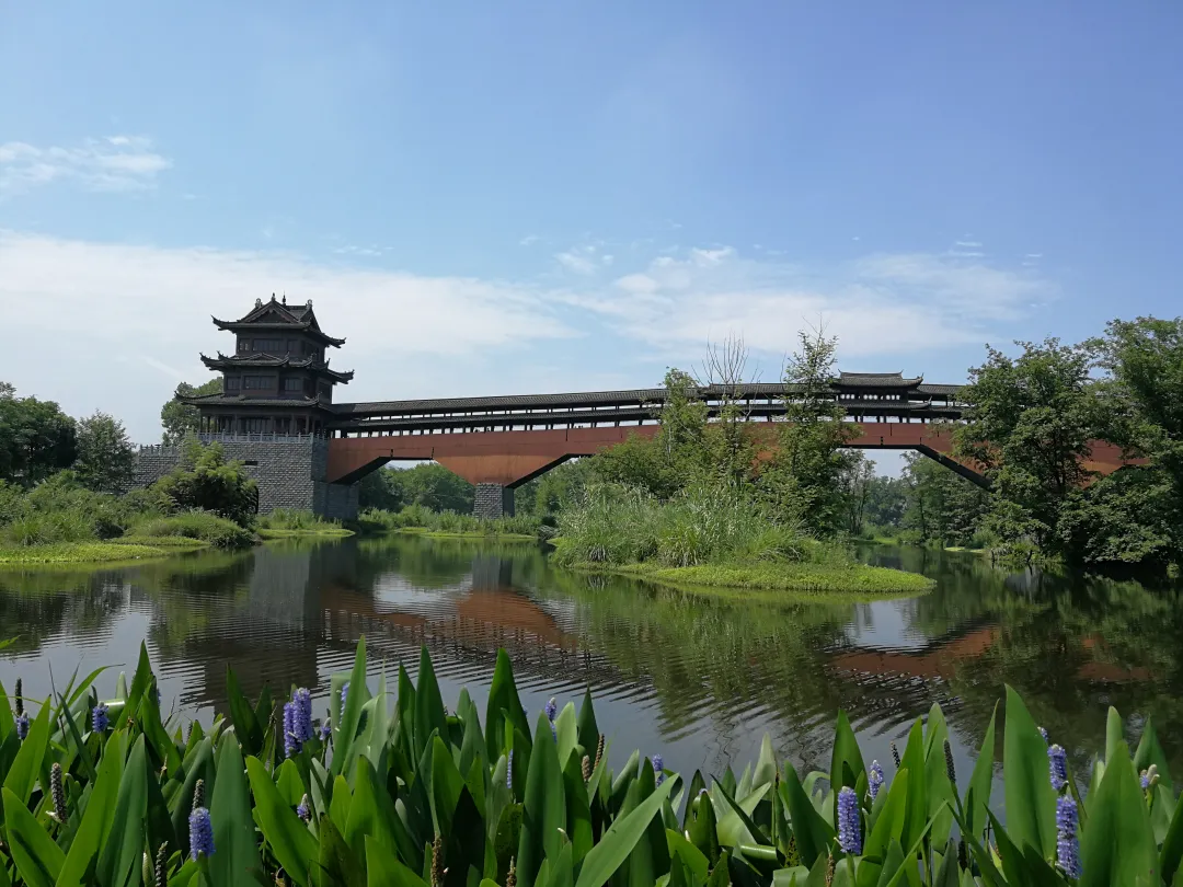 45f8cc8533ee678a7b0a0826955f1471-sz_3653676