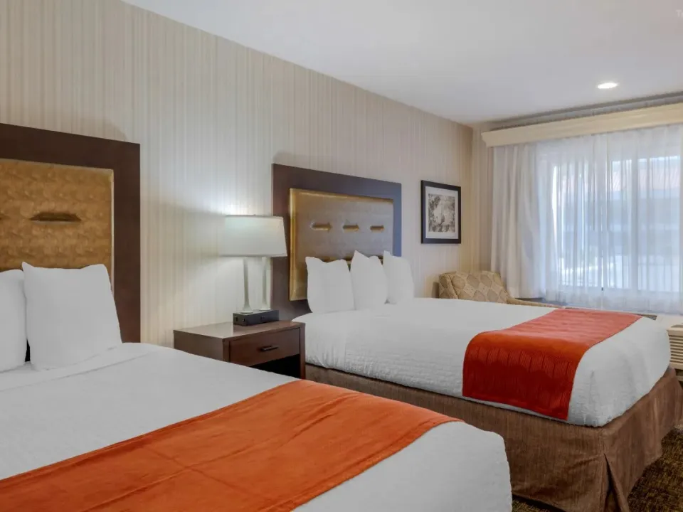 4618af00f9cf244bc871b7e0b498676a-sz_195374 4618af00f9cf244bc871b7e0b498676a-sz_195374