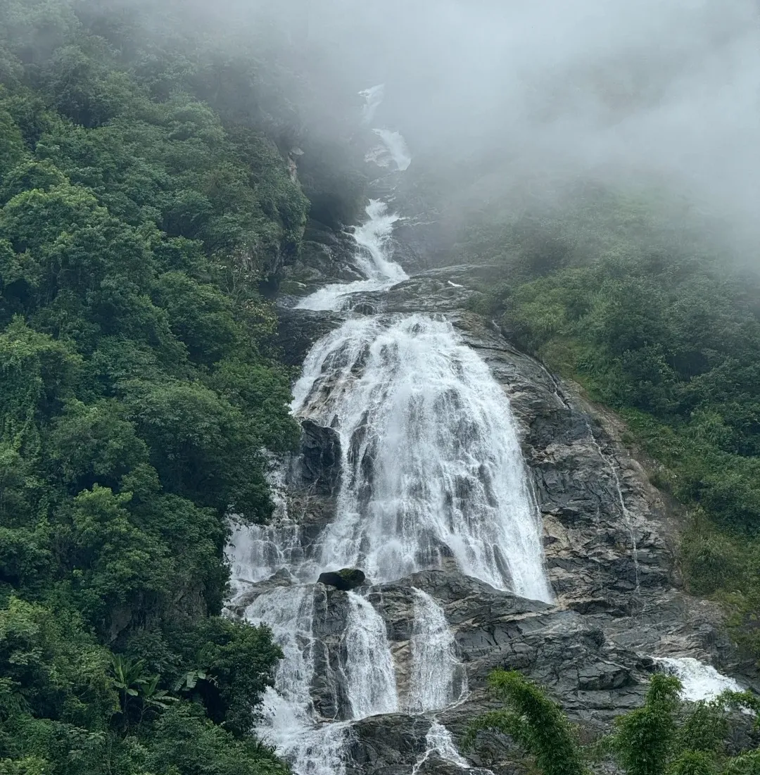 461a3a626e5e5f4edfb26f2e22fc28a6-sz_502568-1