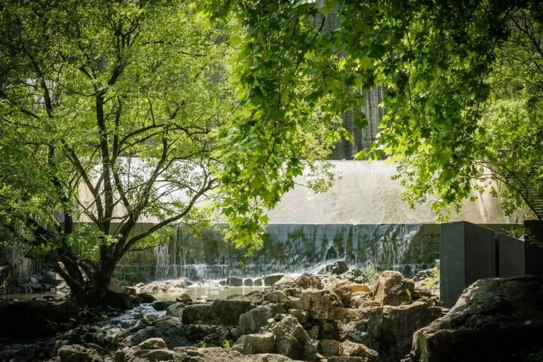 467af4ef942726e879e09589b15e6829-sz_995412 467af4ef942726e879e09589b15e6829-sz_995412