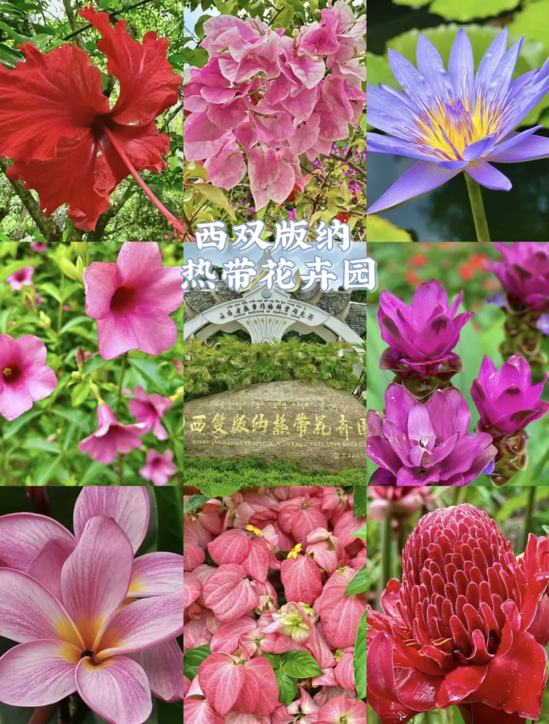 469db56d421fd9a1a602a7e8d079541f-sz_737116