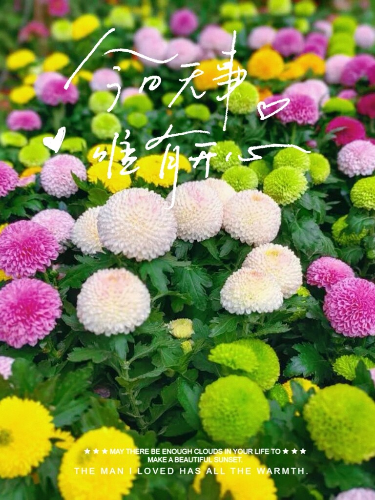 46b2f92d034a17410d9840eacebe48ac-sz_637073 46b2f92d034a17410d9840eacebe48ac-sz_637073