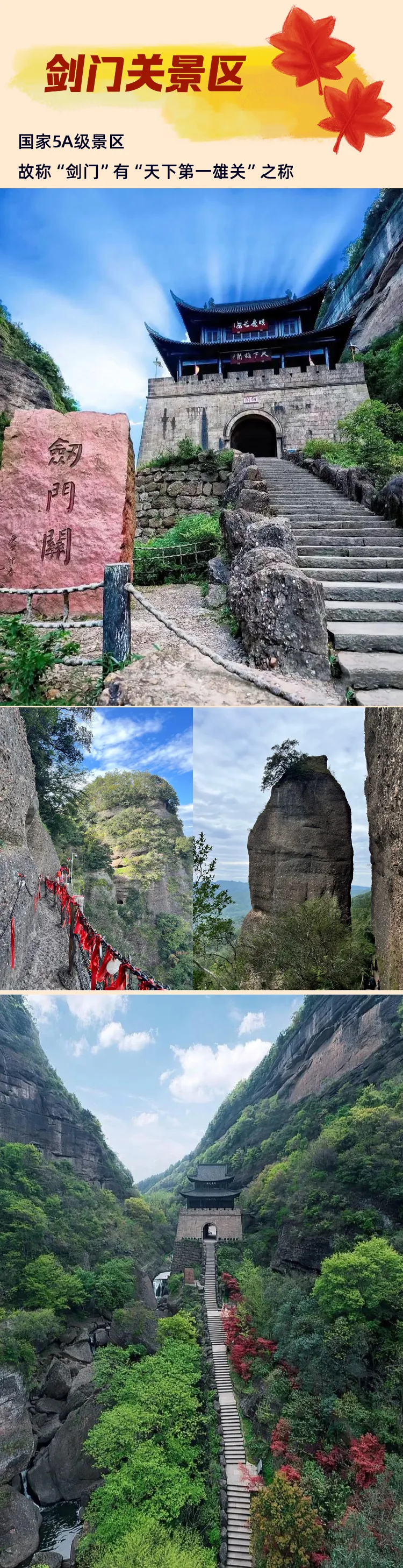 46b312acc29306eb717a9b3ba25af195-sz_1862087-1