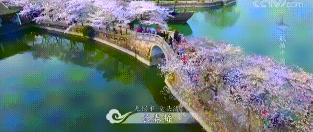 46c62d7e2a4853715395201005b5fb1a-sz_1040204 46c62d7e2a4853715395201005b5fb1a-sz_1040204
