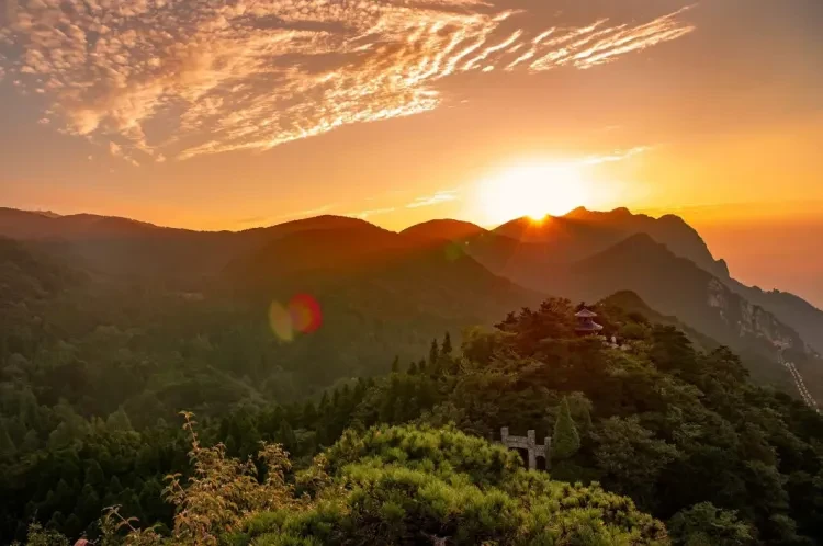 474aef101149f86c908c5a51b37b11bb-sz_1095780