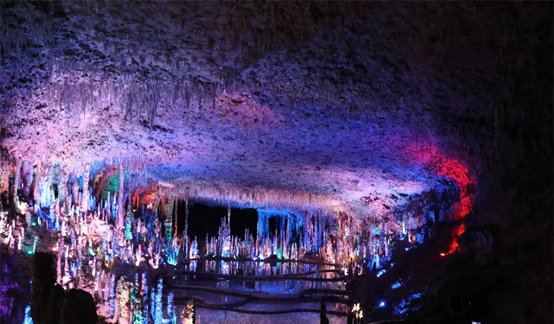 479517a318cc0b21e3736e789bbb9123-sz_295919-2