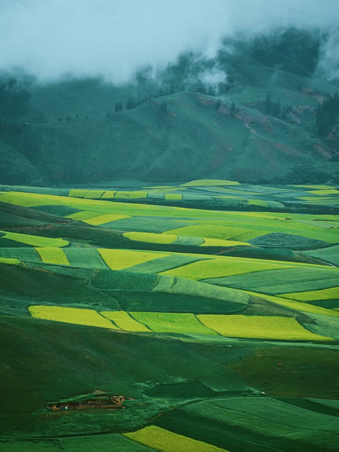 47b07b2a899fd3c518c2d4c78e15f8df-sz_2417049 47b07b2a899fd3c518c2d4c78e15f8df-sz_2417049