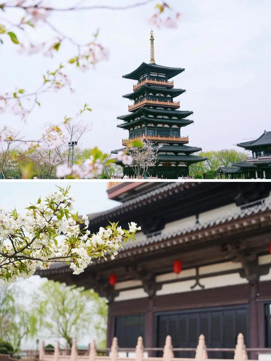 47c3b981e2a0dd51f8041c08e9a4df39-sz_134785 47c3b981e2a0dd51f8041c08e9a4df39-sz_134785