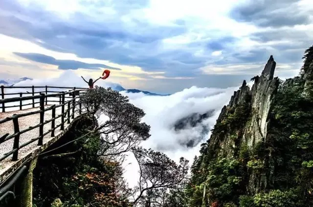 47ddc0b60c0ef701df921c3a9d4fc962-sz_67243