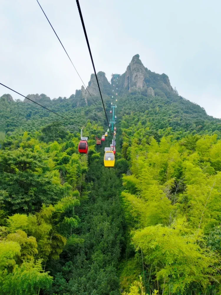 48057c60482e58598a553ab9f7ea10e2-sz_2315935 48057c60482e58598a553ab9f7ea10e2-sz_2315935