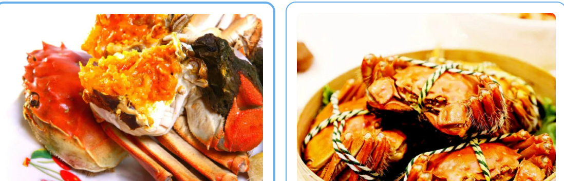 48605de31199ca528adf5d7d98ee88ea 48605de31199ca528adf5d7d98ee88ea