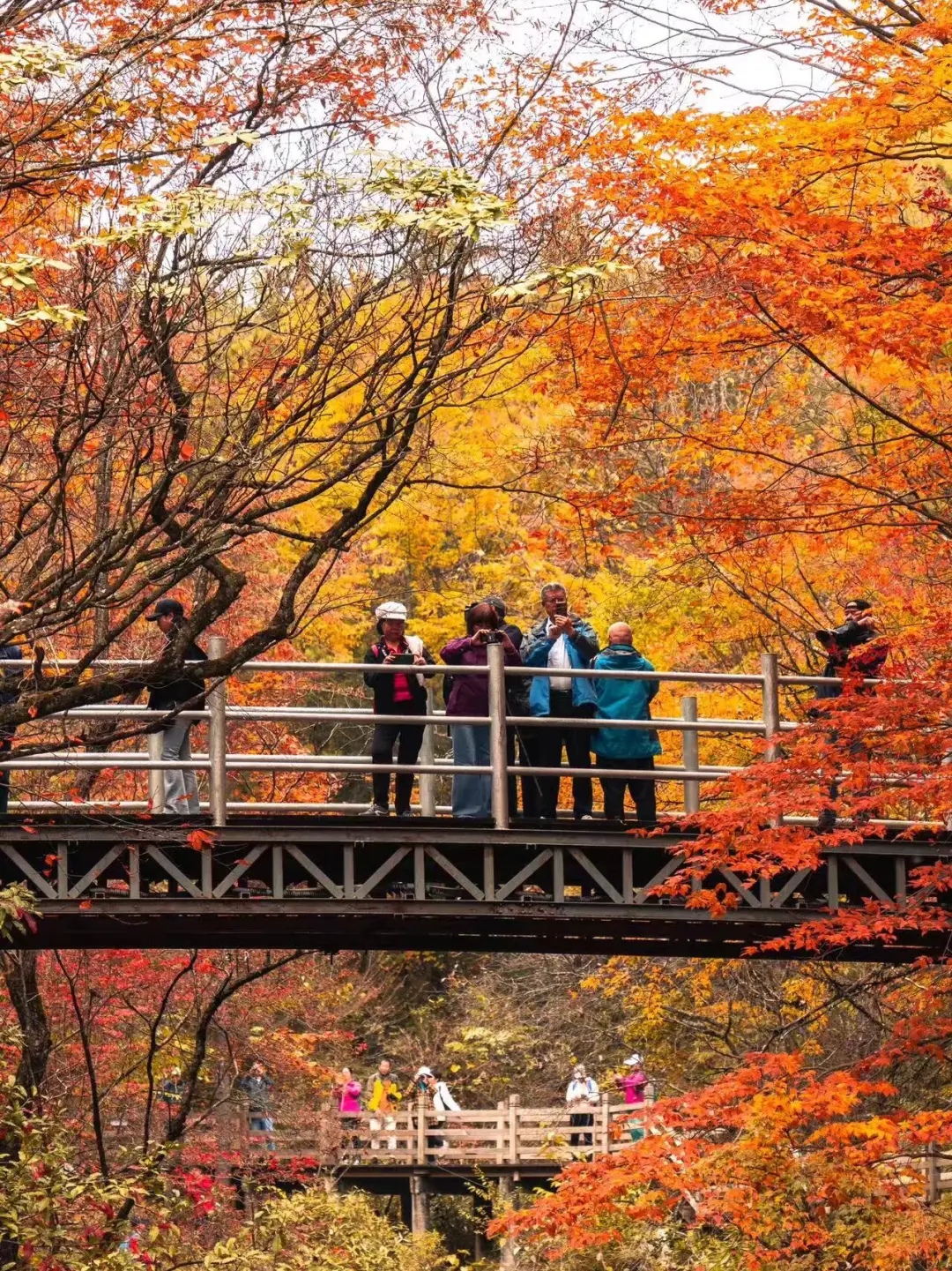 489e5a08826c20c769fdb0a59e5acec6-sz_814189 489e5a08826c20c769fdb0a59e5acec6-sz_814189