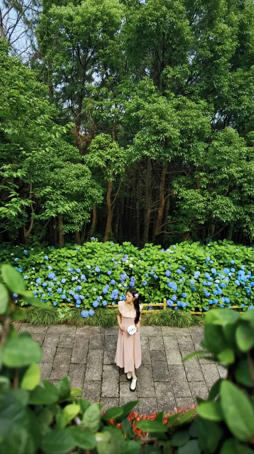 48c2305e94ec0965f71b8359b33921e5-sz_749430