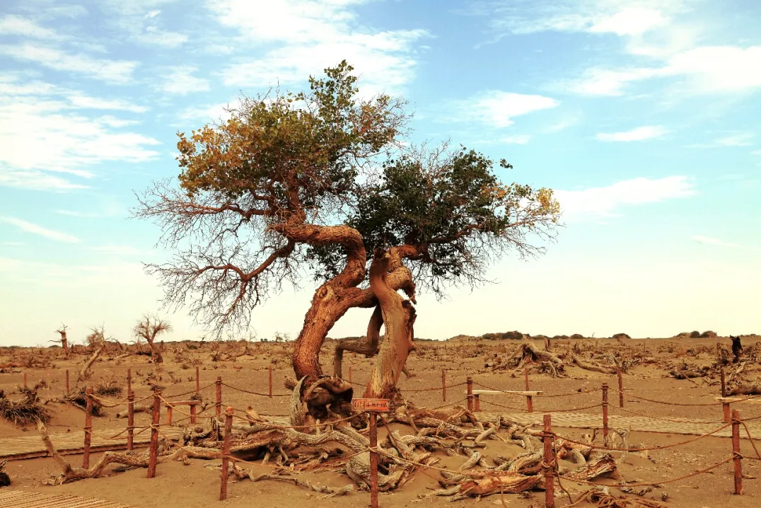 48cde993bb067dc88a28be55834146fc-sz_618914 48cde993bb067dc88a28be55834146fc-sz_618914