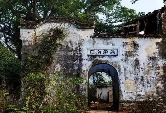 48e55649289585737d931c1f24789c9c-sz_83545