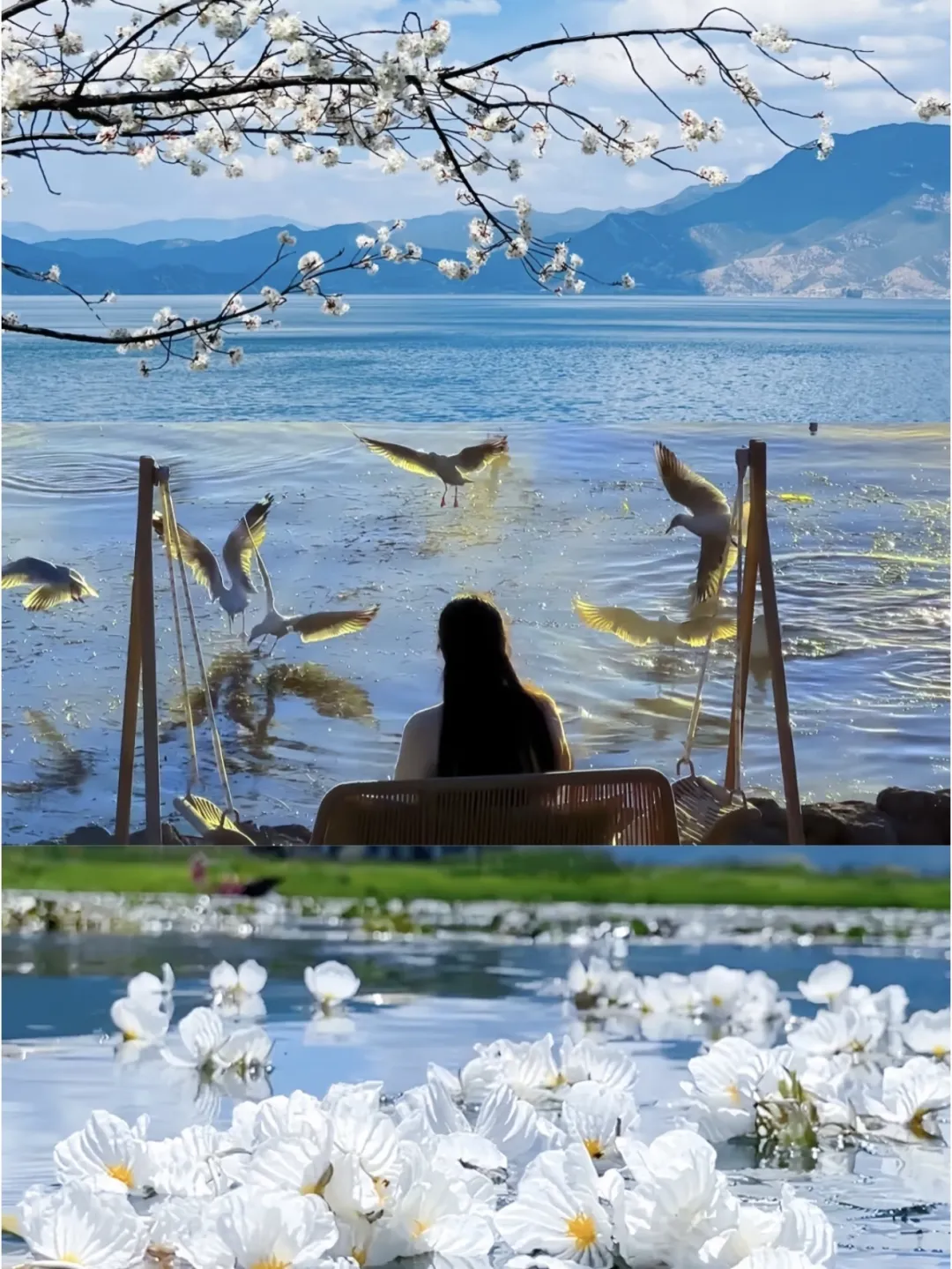 48eaee7e469f6a54fde416e8e1128040-sz_564951