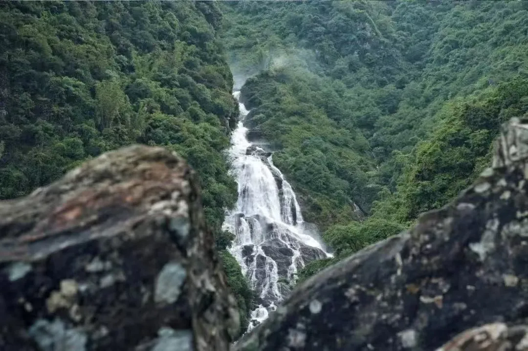 48ed7cabf78c51750525fb43a24dbbed-sz_197371 48ed7cabf78c51750525fb43a24dbbed-sz_197371