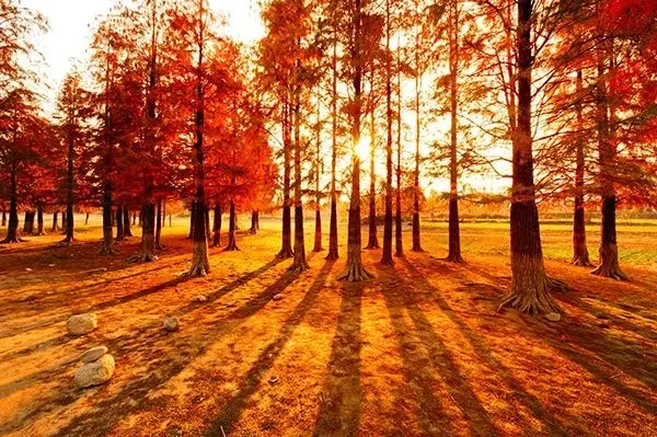 48ee6e5a3c378626ad2628d571ade4ff-sz_97309 48ee6e5a3c378626ad2628d571ade4ff-sz_97309