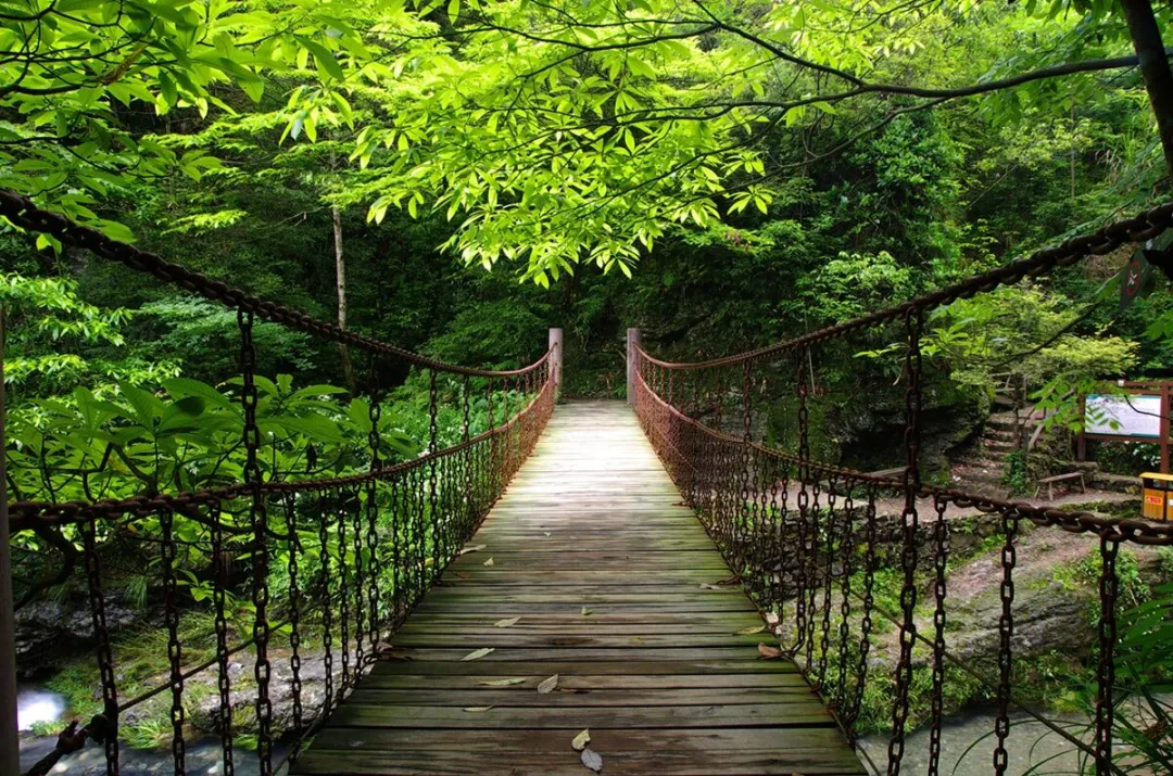 4925dd752e2381e84d4ded23a24329f8-sz_325887 4925dd752e2381e84d4ded23a24329f8-sz_325887