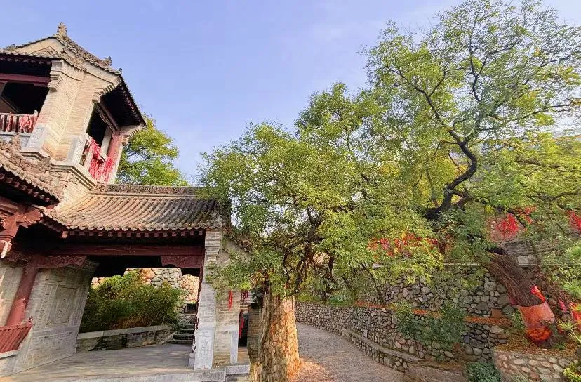 4954292ebc0fba37efa8b114896a1b0c-sz_1216823-1