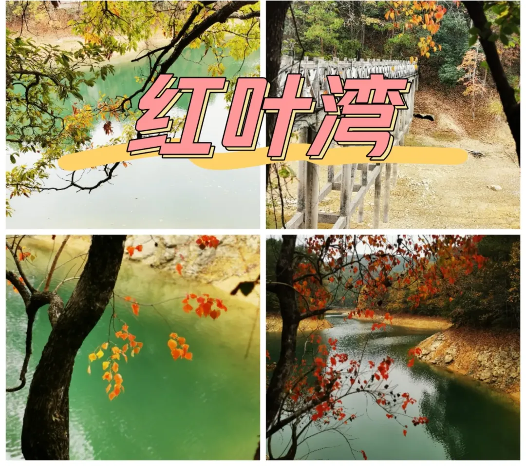 49d421993f9d00214ddf860929f13521-sz_7225247 49d421993f9d00214ddf860929f13521-sz_7225247