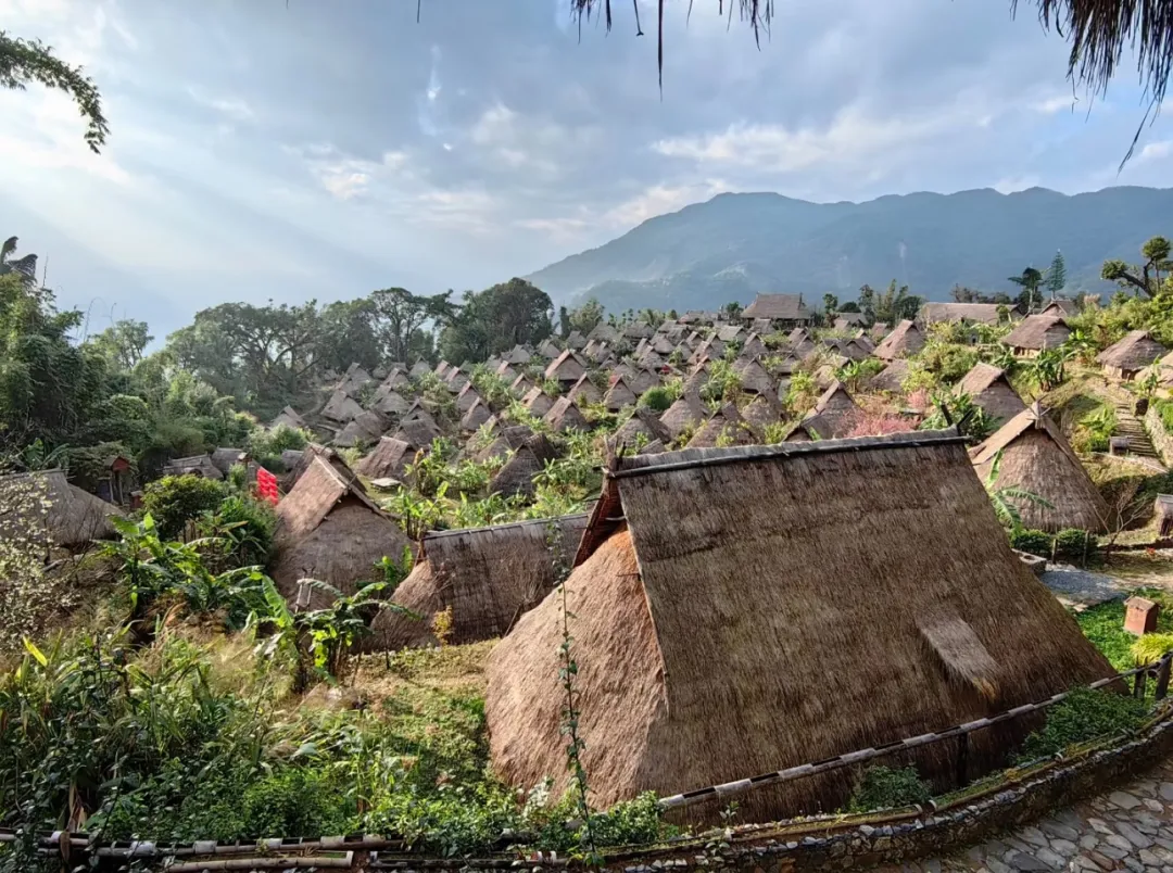 49dc41f75c598794a5c2c34b8716ee6c-sz_609486 49dc41f75c598794a5c2c34b8716ee6c-sz_609486