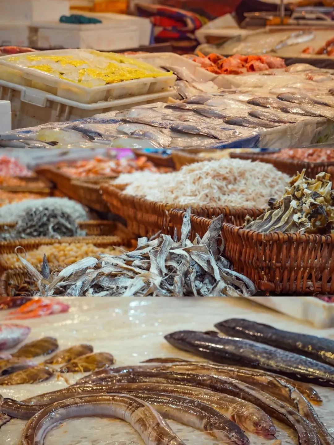 49f3dc8344779da7dedb54e4bb14ef7d-sz_390752 49f3dc8344779da7dedb54e4bb14ef7d-sz_390752