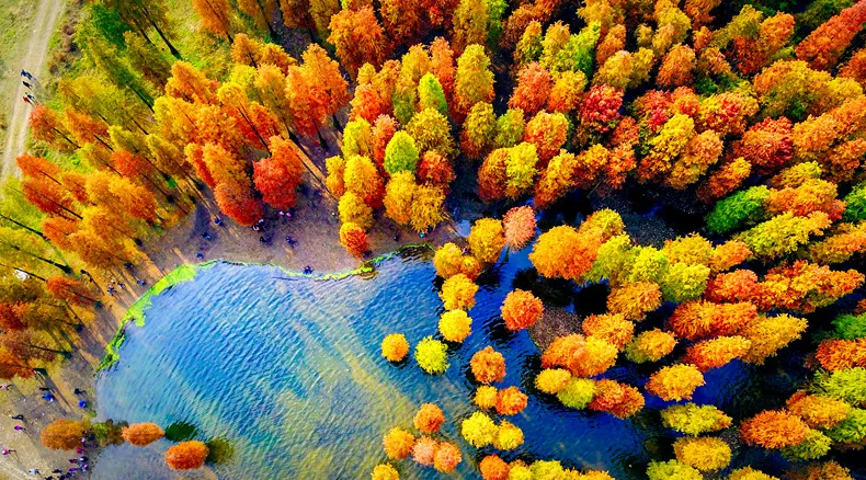 4a4e3d15d5d9afa39af5c21b39fd410c-sz_1009761 4a4e3d15d5d9afa39af5c21b39fd410c-sz_1009761