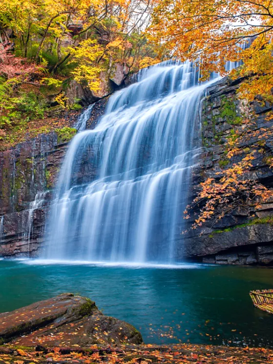 4a95fca48397b1fcbc94c98dcc35c81a-sz_863626