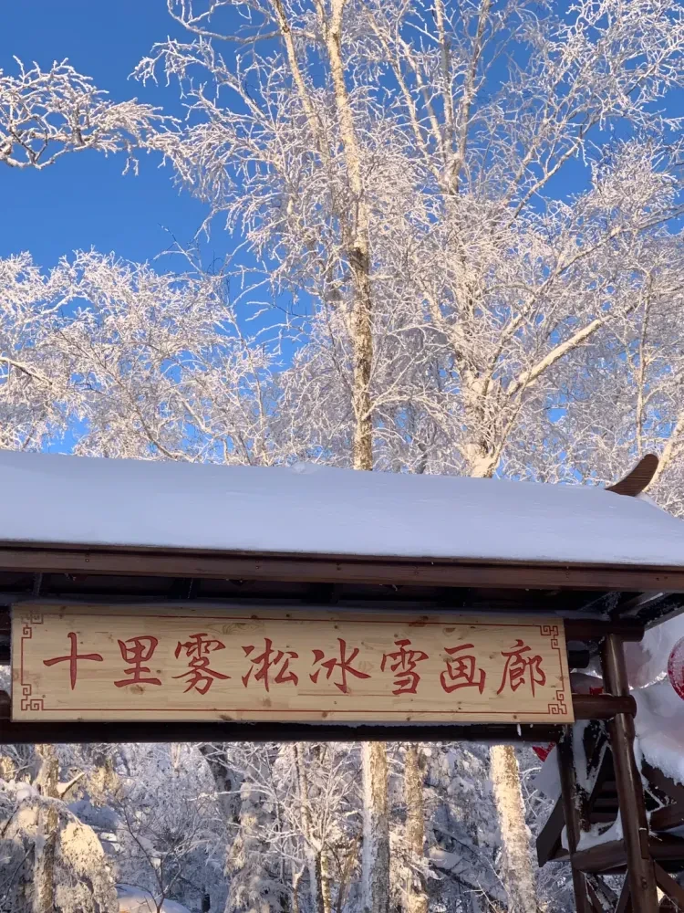 边境风云❤️ 冰雪奇缘2899元/人【哈尔滨双卧8日游】雪国牡丹江-俄罗斯边城绥芬河-镜泊湖-北境冰城哈尔滨；❄️ 一路向北，尽览冰雪奇缘！ ❄️