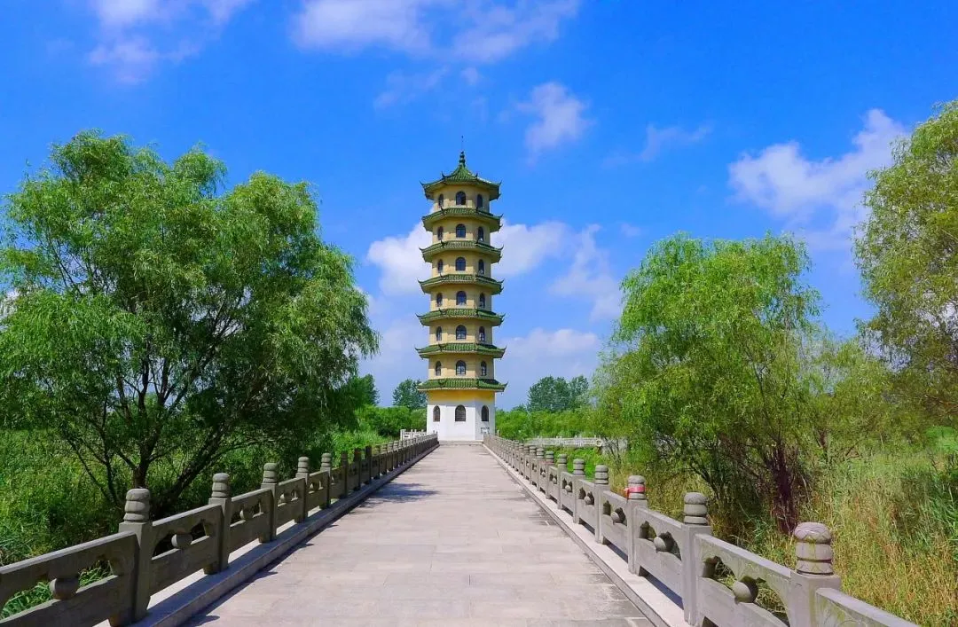 4b1d9ee17b33c6ab55988efba22dc2d9-sz_175508