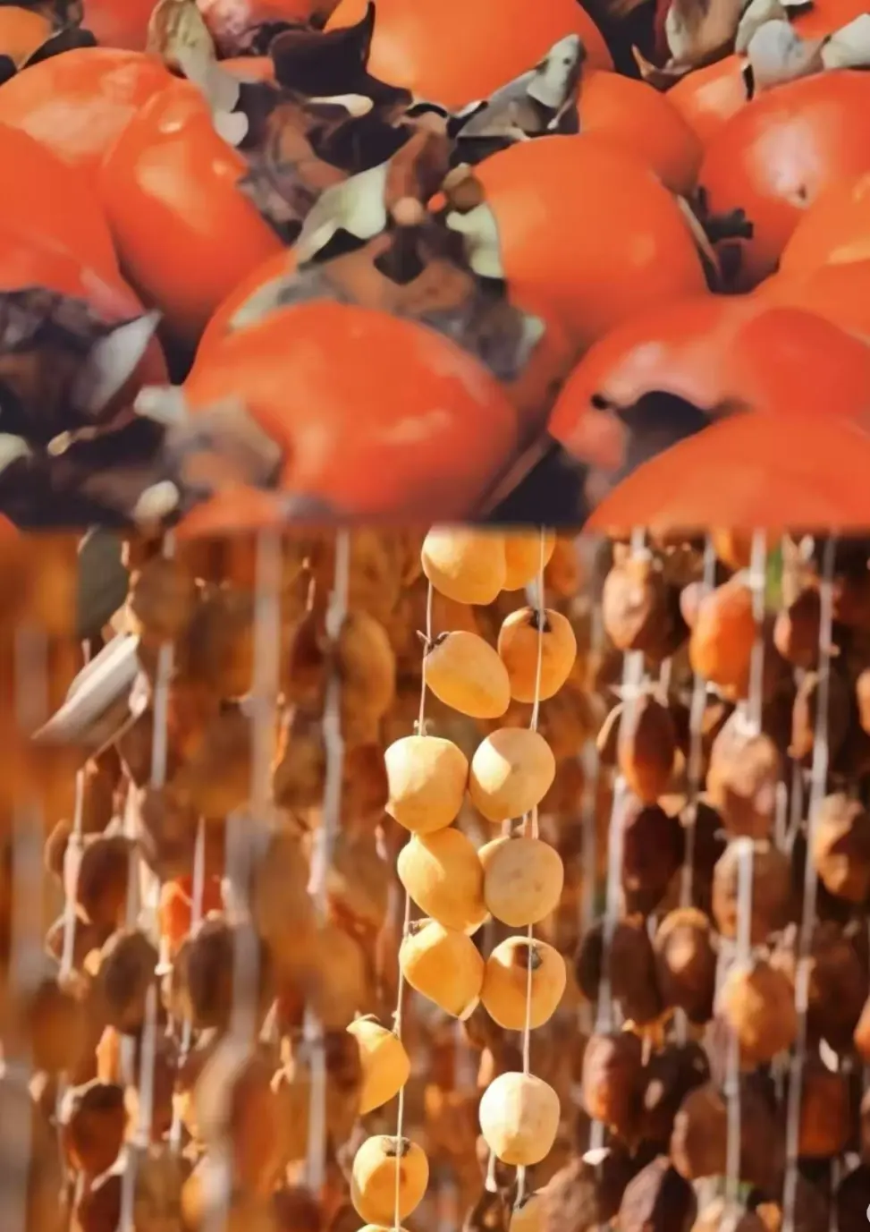 4bc18d3c7d0c19adc24fe03528e3b9c4-sz_172577