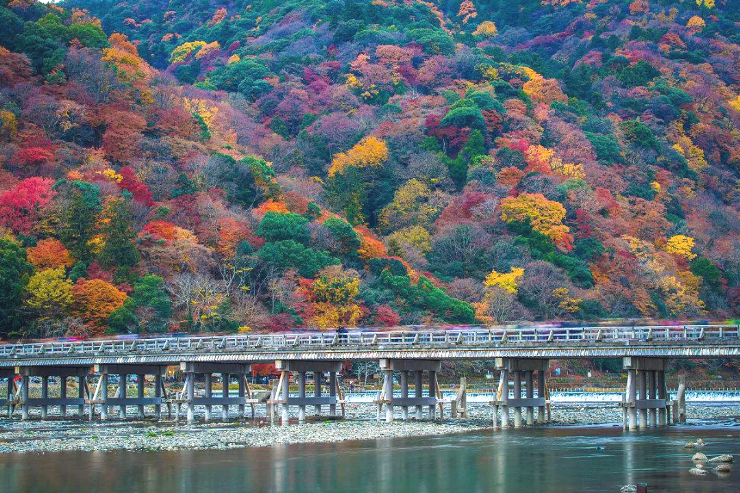 4bcc6ca8c3156afdd1bab1626ecc5cd5-sz_980831 4bcc6ca8c3156afdd1bab1626ecc5cd5-sz_980831