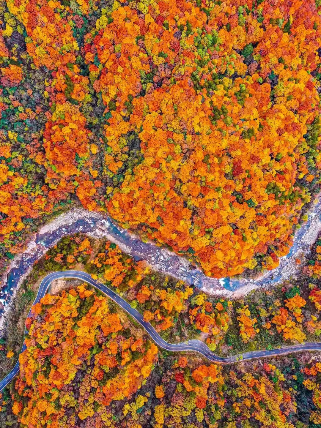 4c09e5e92bc34c62a692aaac3aa170bf-sz_921220-1 4c09e5e92bc34c62a692aaac3aa170bf-sz_921220-1