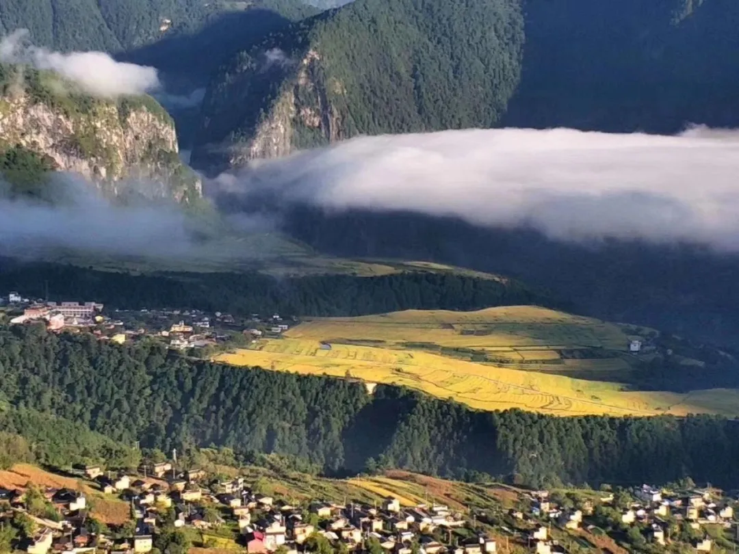 4c49db989ff0028987ccc4417aad452c-sz_1295941 4c49db989ff0028987ccc4417aad452c-sz_1295941