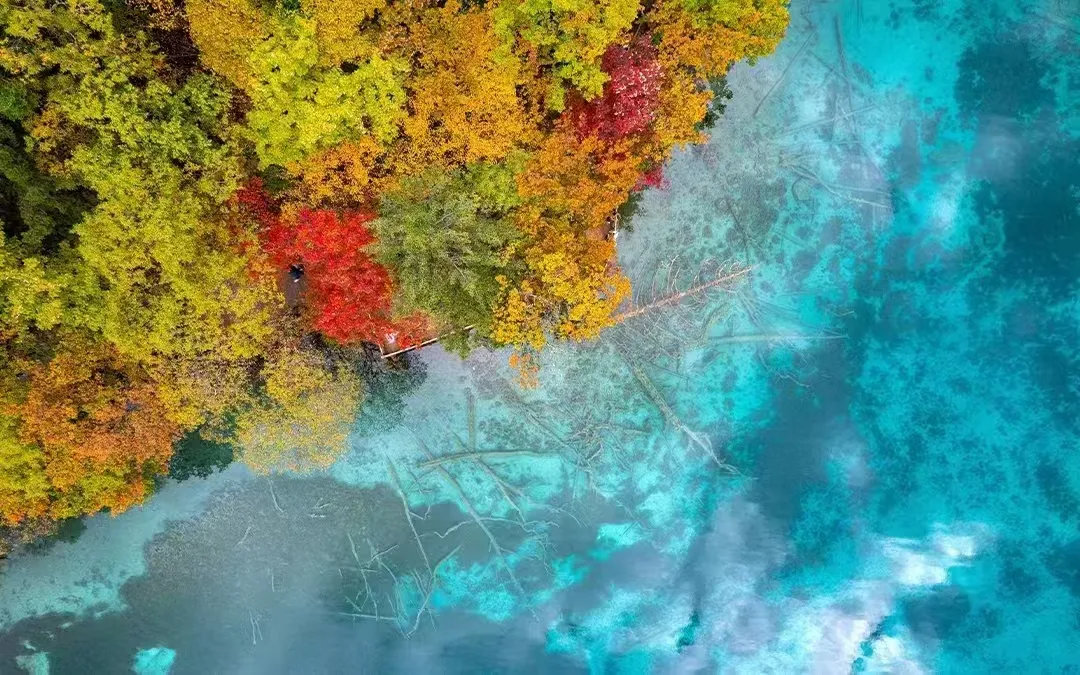 4c52292dea84f82d6ee748cf0376827e-sz_703002