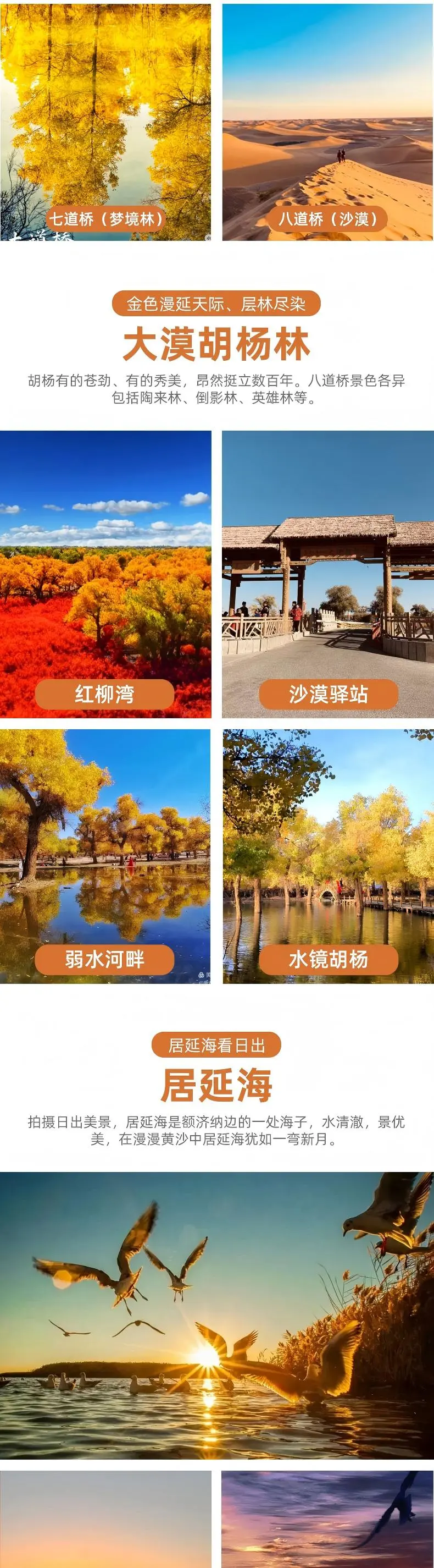 4ce9f8f6bd356ac0582bb2c5044aae98-sz_369695 4ce9f8f6bd356ac0582bb2c5044aae98-sz_369695