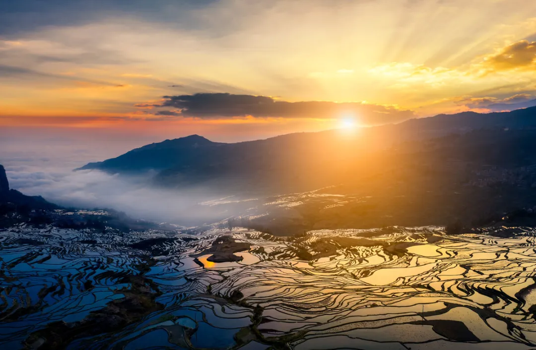 4d012e04f7d157b3252d0bf55cd50c90-sz_1814009 4d012e04f7d157b3252d0bf55cd50c90-sz_1814009