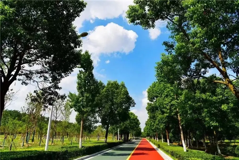 4d3a914e58531646bae431a4ac44a668-sz_357254